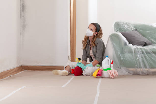 Reliable Commercial Mold Remediation contractor in New Cumberland, PA by WQB Mold Removal